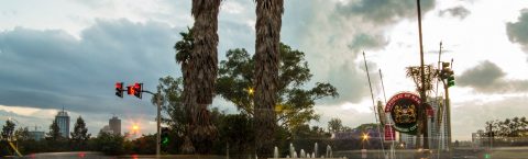 WE PROVIDE EXCELLENT SERVICES 